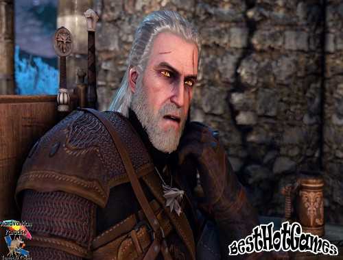 Witcher Short