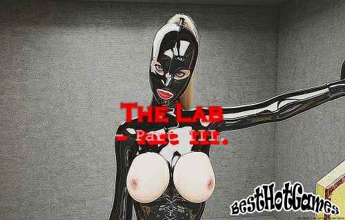 实验室-第三部分