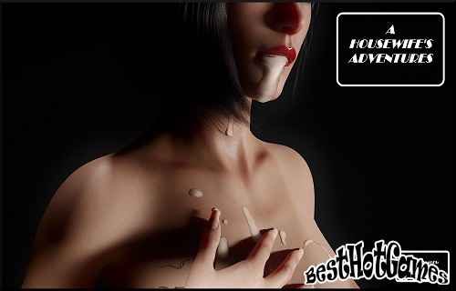 家庭主婦的冒險